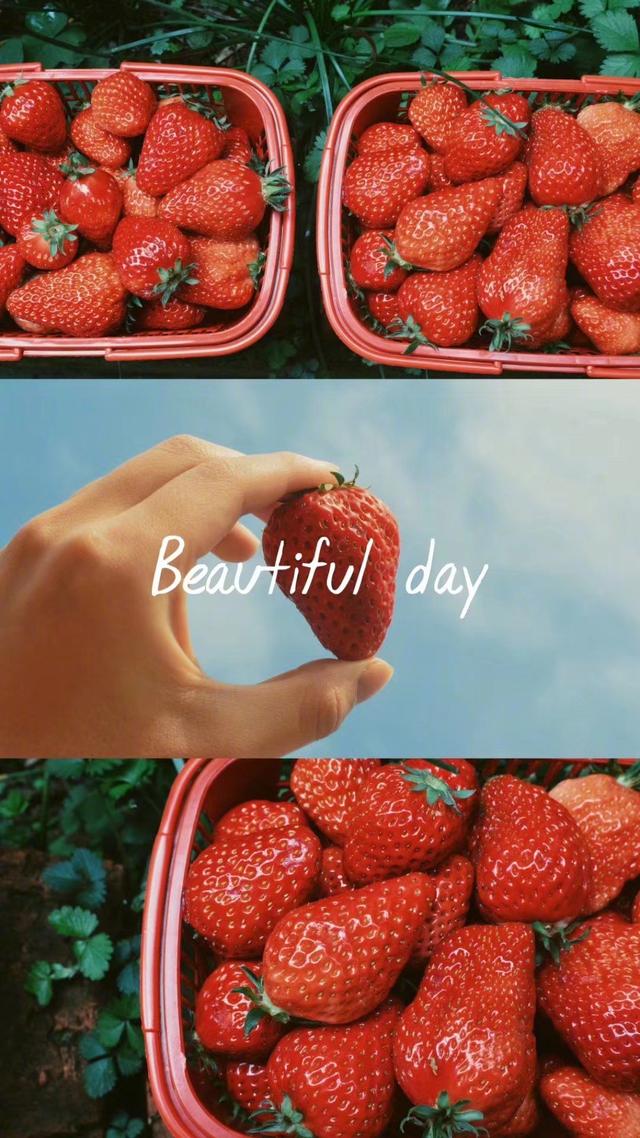 开云-JackeyLove新星精彩发挥表现惊艳，MAD未来可期！的简单介绍